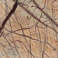 Marmură Rain Forest Brown